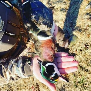 Meet your Posher, Austin